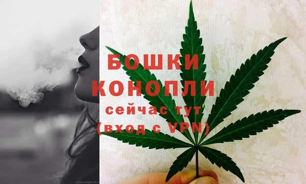 дживик Кинешма